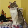 Отзыв от Эльмира Бочарова